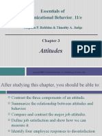 Chapter 3 - Attitudes