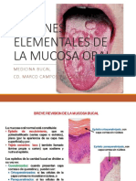 Lesiones Elementales de La Mucosa Oral Medicina Bucal