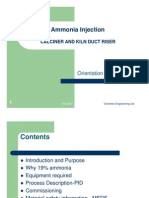 Ammonia Injection System