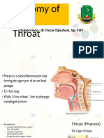 Anatomy of The Throat DR Oscar Presentasi