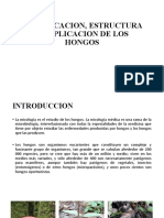 Clasificacion, Estructura y Replicacion de Los Hongos