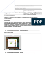 Formato Peligros Riesgos Sec Economicos