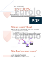 The Neuron: Vce Psychology - Unit 3 Aos 1