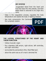 The Circulatory System