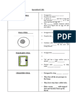 Sperm Cell: Specialised Cells