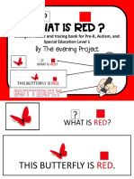 What Is Red ?: by The Evening Project