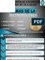 Ramas de La Antropologia