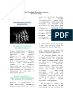 Gui - A Practica de Deso - Rdenes Amorosos (Reconoce El Tuyo)