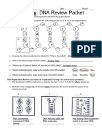 DNA Review Packet