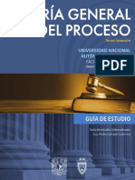 Guia Teoria General Proceso