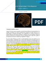 ASIMETRÍAS CEREBRALES LECTURA FUNDAMENTOS - Acervo - 1 - 3