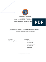 Evaluación Económica (Lubricantes)