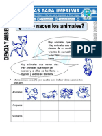 Ficha de Como Nacen Los Animales para Segundo de Primaria