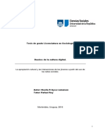La Apropiación Cultural y Las Interacciones de Los Jóvenes A Partir Del Uso de Las Redes Sociales Aysa Lamaison Noelia