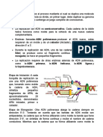 Generalidades de Biología Molecular y Genética