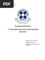 Programa Educativo Lactancia Materna