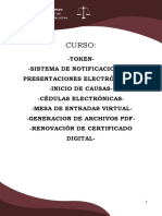 Curso Sistema de Notificaciones y Presentaciones Electronicas de La Provincia de Buenos Aires PDF