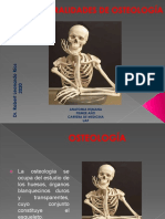 Generalidades de Osteologia 2020