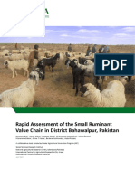 Rapid Assessment of The Small Ruminant V