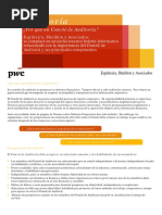 Comite de Auditoria - PWC