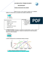 Prueba Bi 2