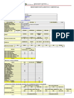 Formato de Resumen de Estadisticas Mensuales