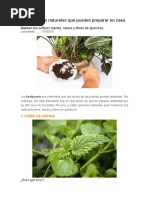 Fertilizantes Que Puedes Hacer en Tu Casa