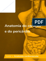 Anatomia Do Coração e Do Pericárdio