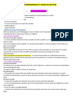 3-Septum Inter Dentaire