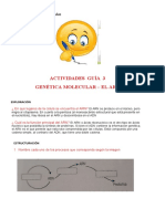 Actividades Guía 3 Genética Molecular-Arn