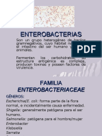 ENTEROBACTERIAS