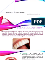 Biofilm y Calculo Dental