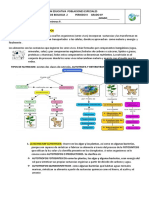 TALLER 2 PERIODO 2 6º NUTRICION EN LOS SERES VIVOS Revisado