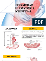 Colitis Ulcerosa Final