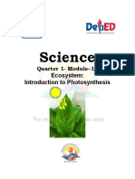 13 Quarter 1 Module 13-INTRODUCTION-TO-PHOTOSYNTHESIS