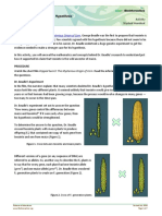 The Teosinte Hypothesis: Popped Secret: The Mysterious Origin of Corn