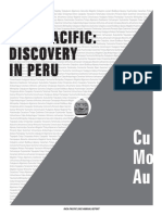 Inca Pacific 2002 Annual Report - Cu Mo Au