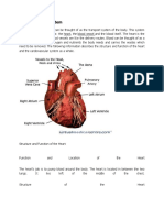 Cardiovascular System