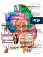 Infografia Memoria2 PDF