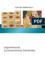 Caracteristicas Cereales y Leguminosas - 2