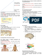 The Somatic Nervous System The Autonomic Nervous System - The Enteric Nervous System