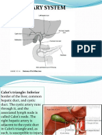 Surgery Class Biliary System Surgery