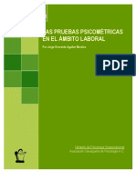 Pruebas Psicometricas en Ambito Laboral