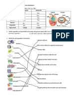 Kami Export - Cell Structure Practice (1) - 3