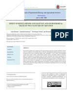 Effect BA and SA On Carnation