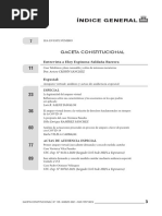 Sumario Gaceta Constitucional N°159