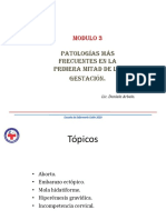 Anatomía - 9 - Patologias Mas Frecuentes en La Primera Mitad de La Gestacion