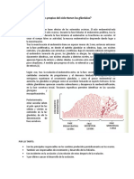 Ciclo Endometrial