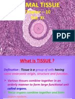 Animal Tissue: Chapter - 10 Std. XI