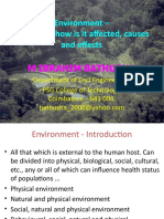 Environment - What It Is, How Is It Affected, Causes and Effects